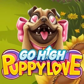 Slots logo of Go High Puppy Love from RubyPlay at Rainbet Casino
