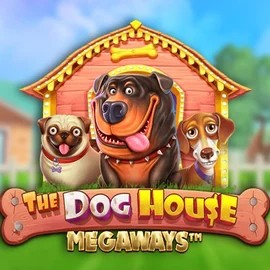 Play The Dog House Megaways slot by Pragmatic Play on rainsbet.org