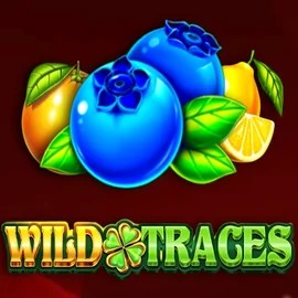 Wild Traces slot visual from Amusnet Interactive available on rainsbet.org